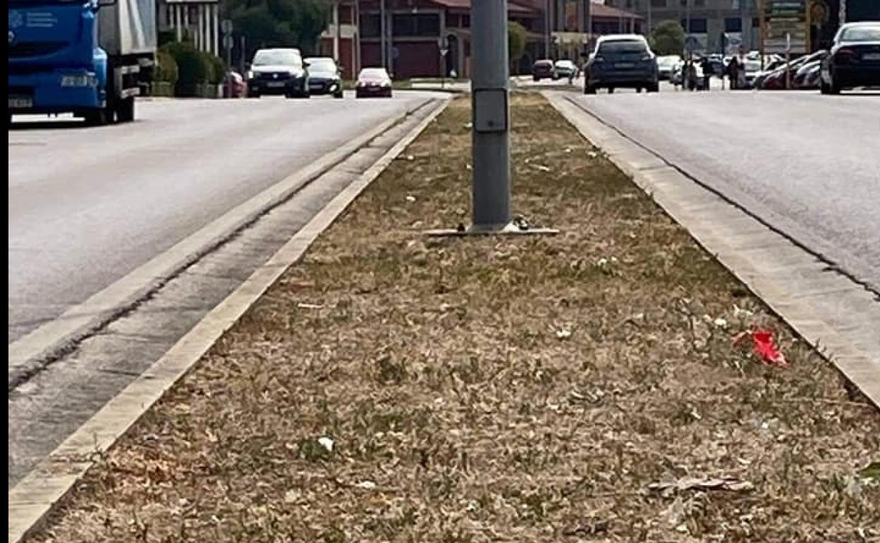 Avenida de los Escritores de Ponferrada.