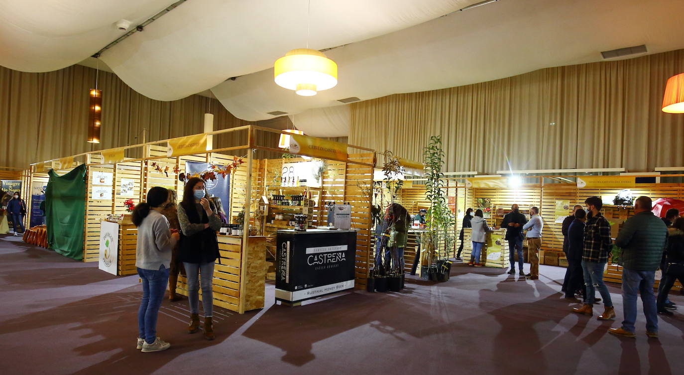 Fotos: Inauguración de la Feria de la Castaña Biocastanea