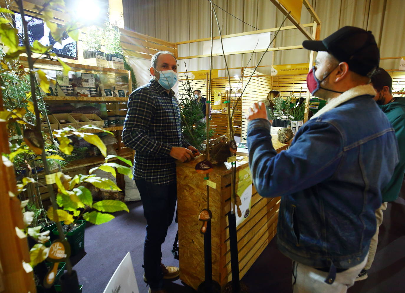 Fotos: Inauguración de la Feria de la Castaña Biocastanea