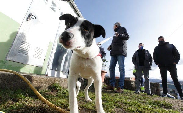El alcalde de Ponferrada visita el albergue canino municipal.