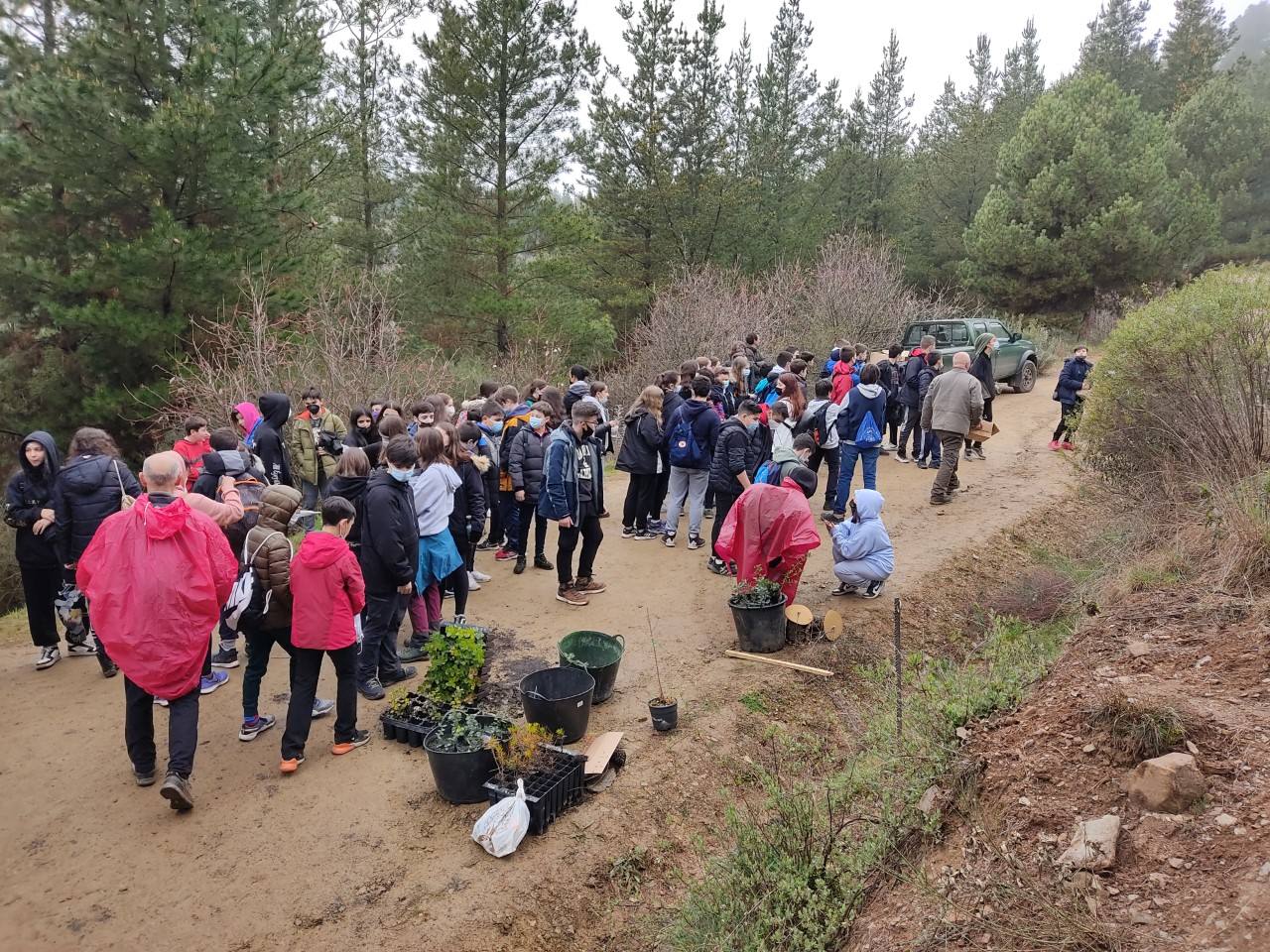 Plantación de árboles en el monte Pajariel.