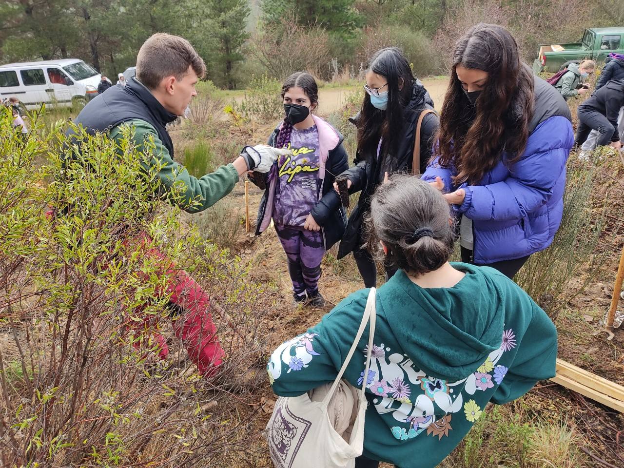Plantación de árboles en el monte Pajariel.