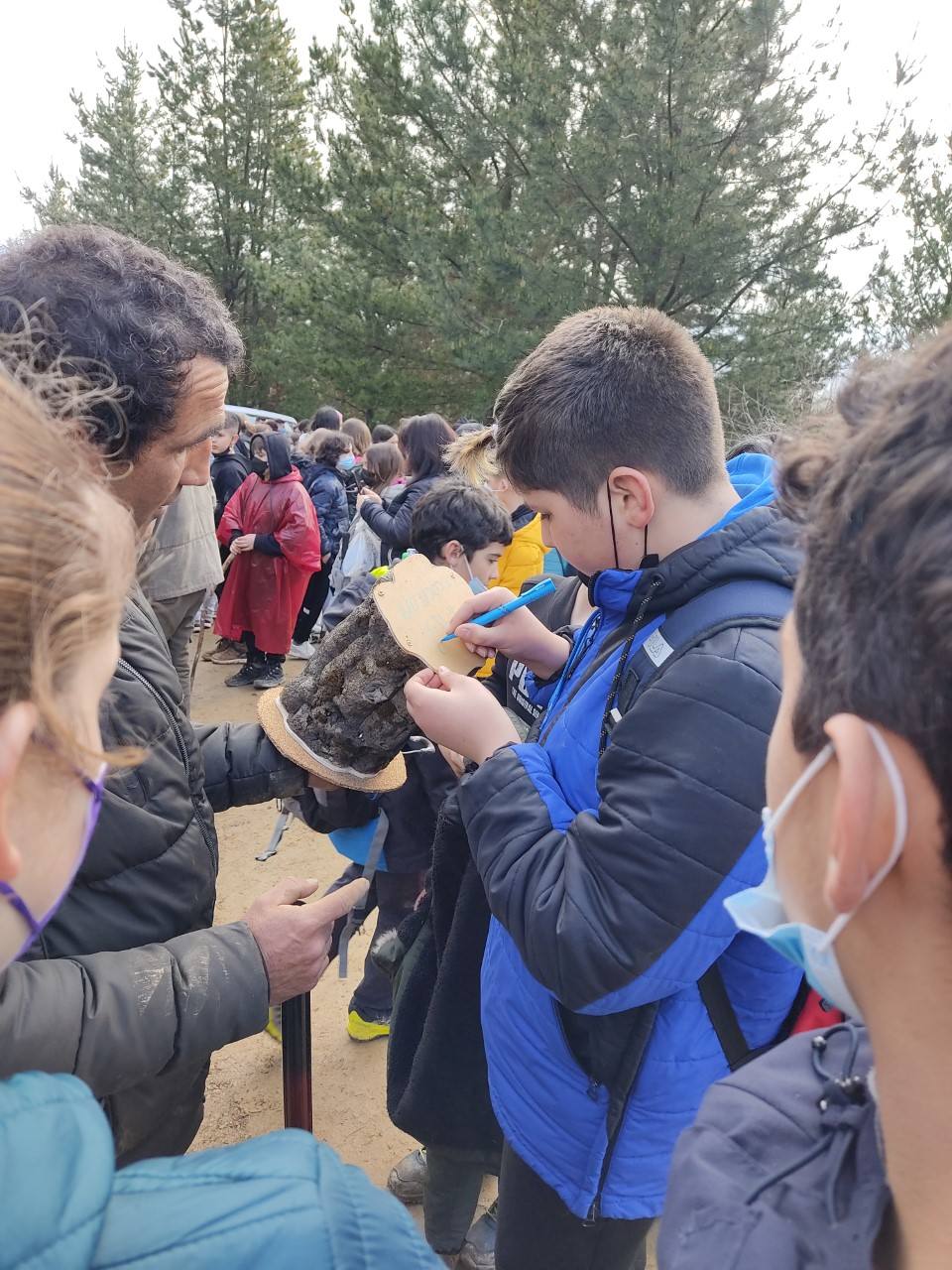 Plantación de árboles en el monte Pajariel.