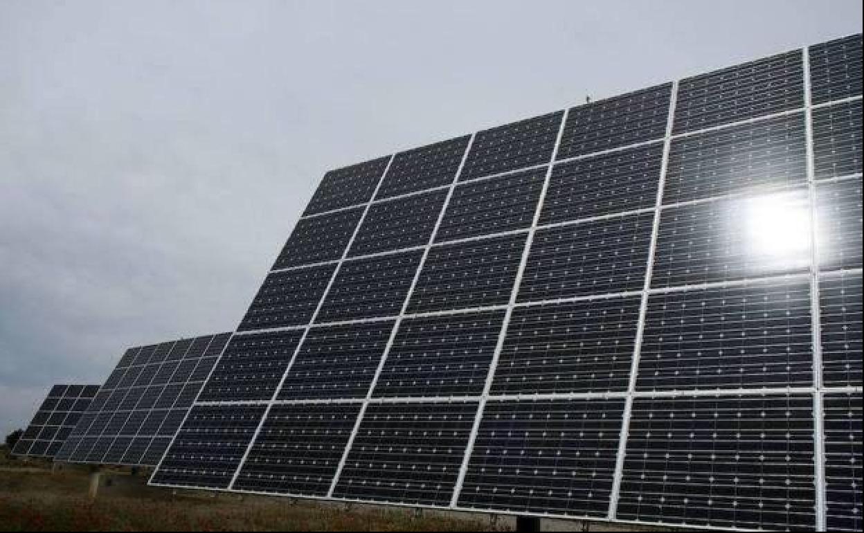 Placas solares en un parque fotovoltaico.