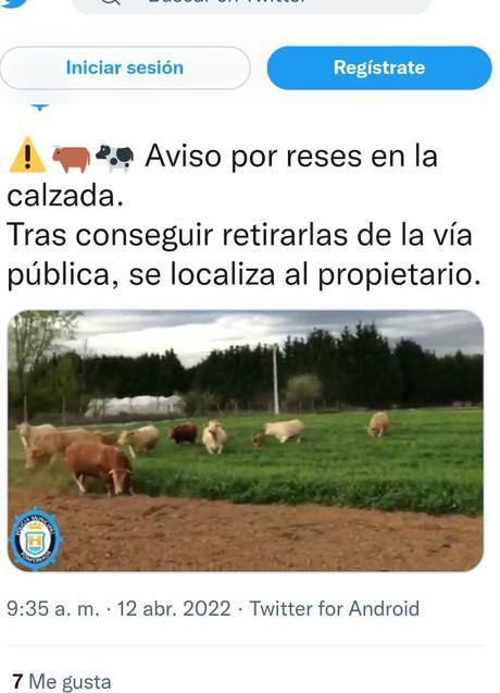 Imagen -