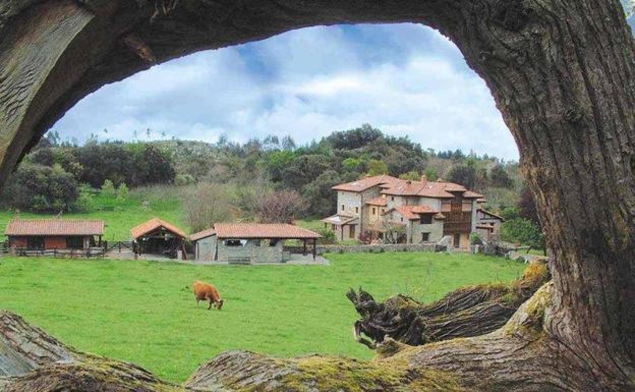 Vega de Espinareda acoge este jueves una jornada sobre 'Internet de las cosas en el mundo rural'