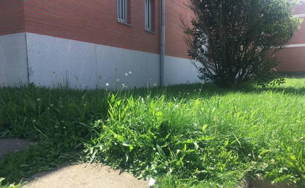 Imagen principal - El PP de Ponferrada denuncia el «abandono» de las zonas verdes y ajardinadas del municipio