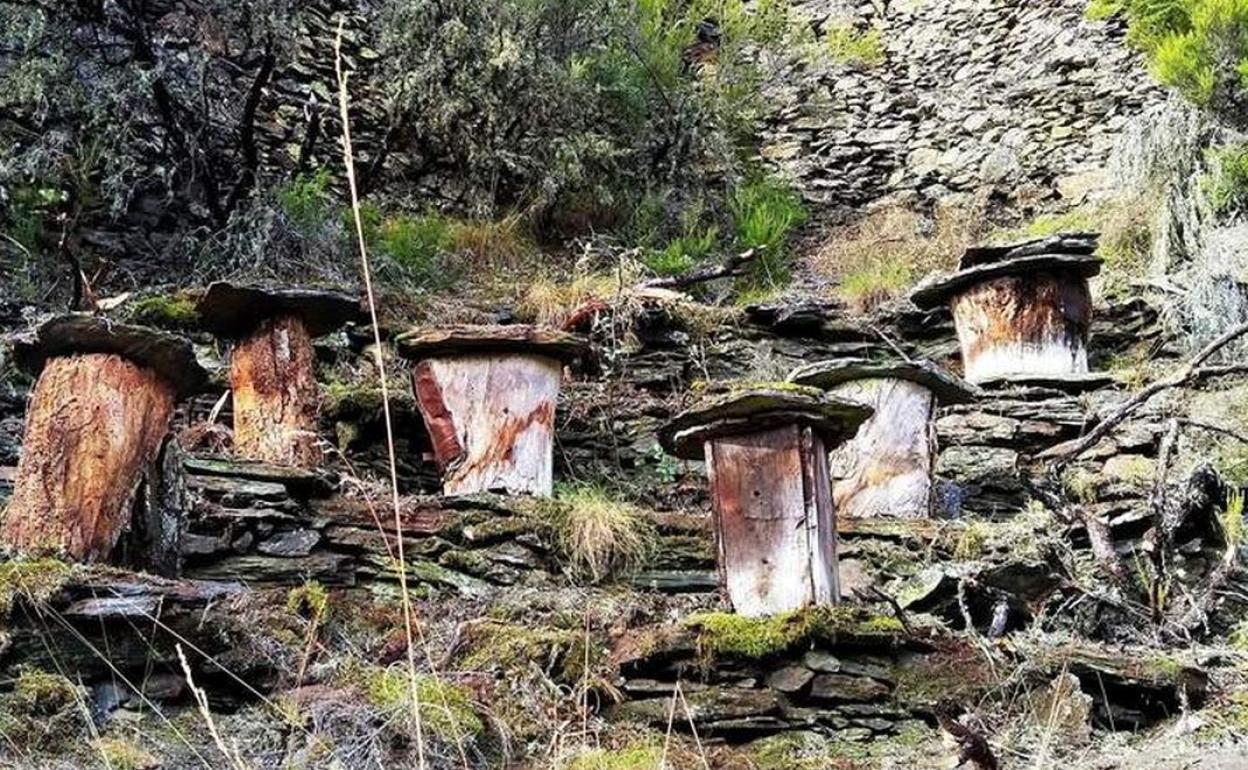 Los Cortines suponen un excepcional ejemplo de patrimonio de arquitectura tradicional de piedra seca.