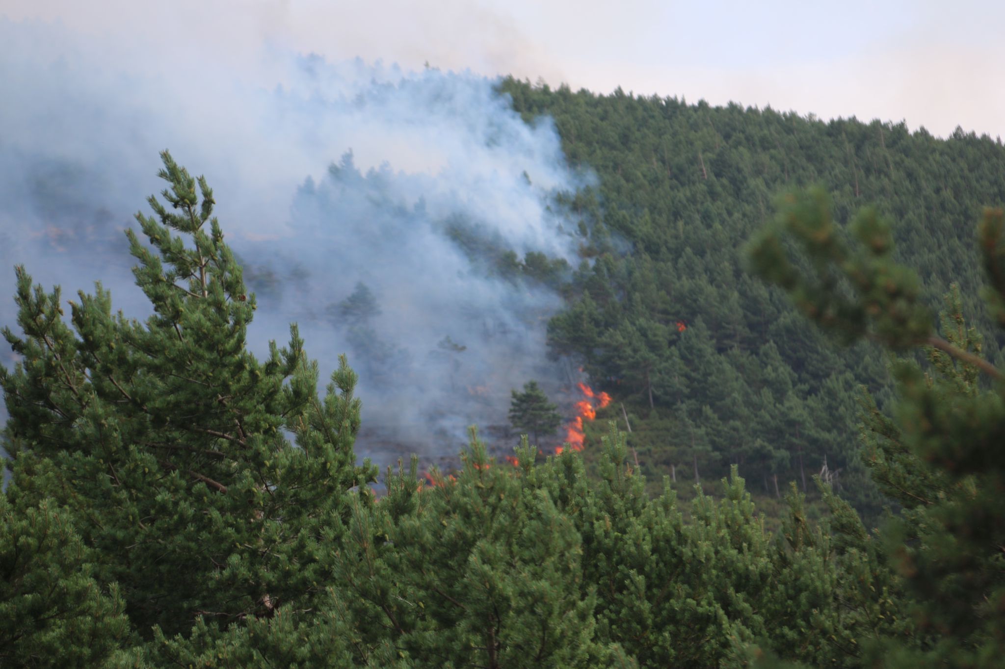 Fotos: El viento dificulta la extinción en Montes de Valdueza