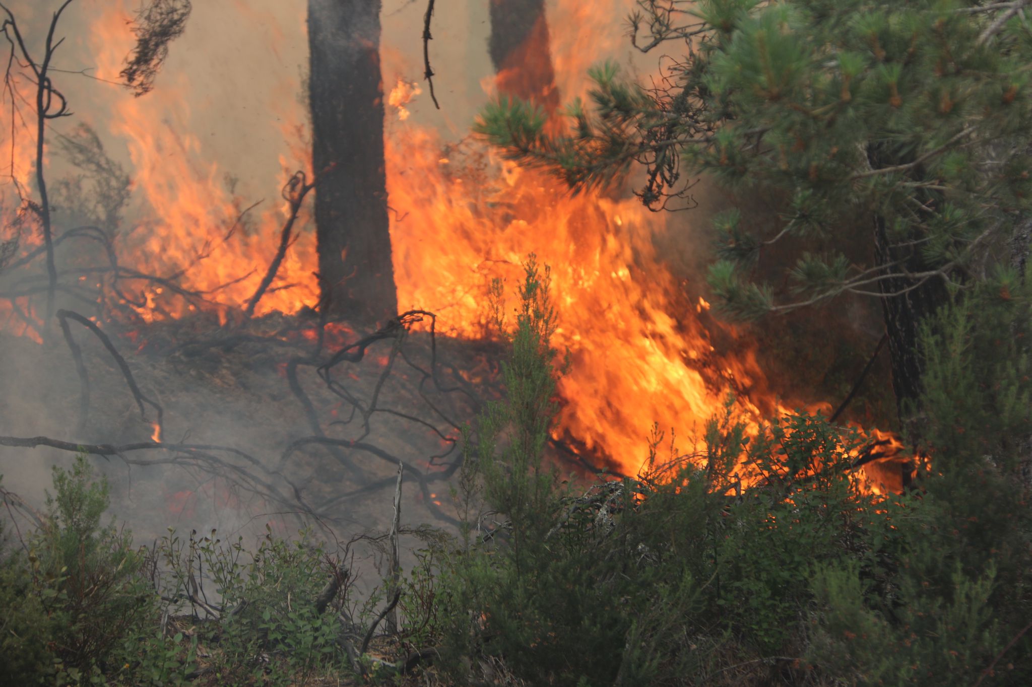 Fotos: El viento dificulta la extinción en Montes de Valdueza