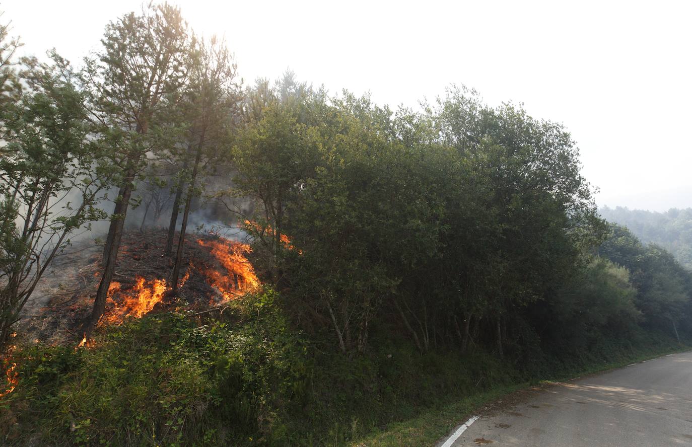 Incendio en el monte Aquiana en el Bierzo, por el que ha tenido que ser desalojado el pueblo de San Adrián. 