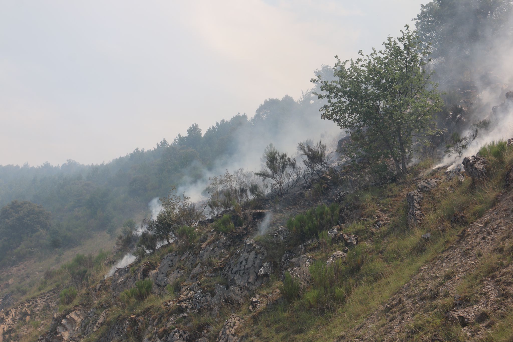 Fotos: Incendio forestal en Montes
