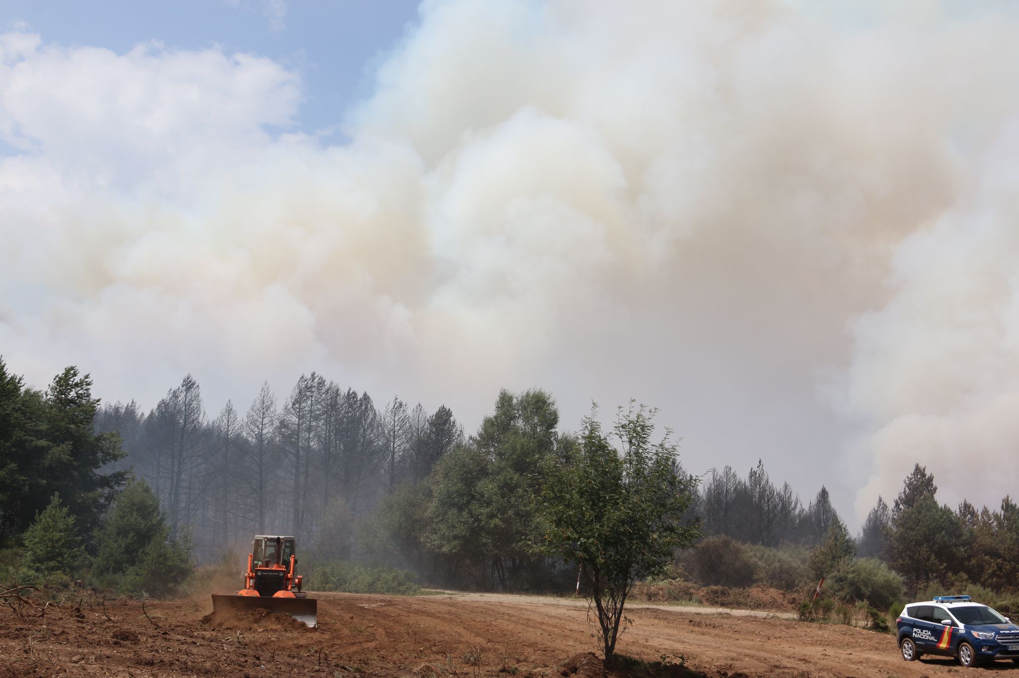 Fotos: Incendio forestal en Montes