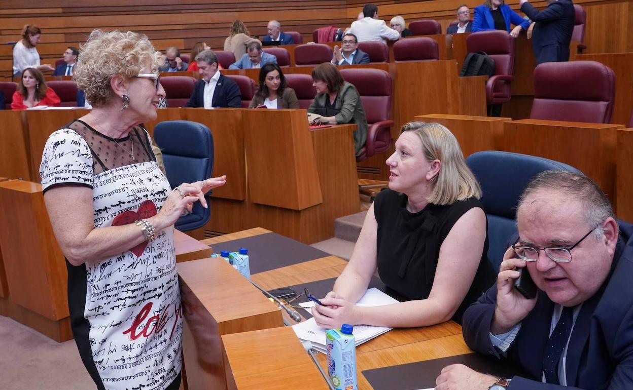 El consejero de Sanidad (D), antes del pleno de las Cortes.