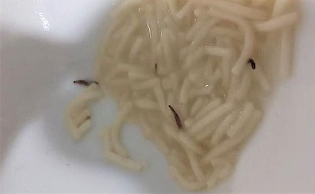 Los médicos responsabilizan a la sopa con gusanos de la intoxicación de una veintena de facultativos en el Hospital de León y la Junta lo desvincula