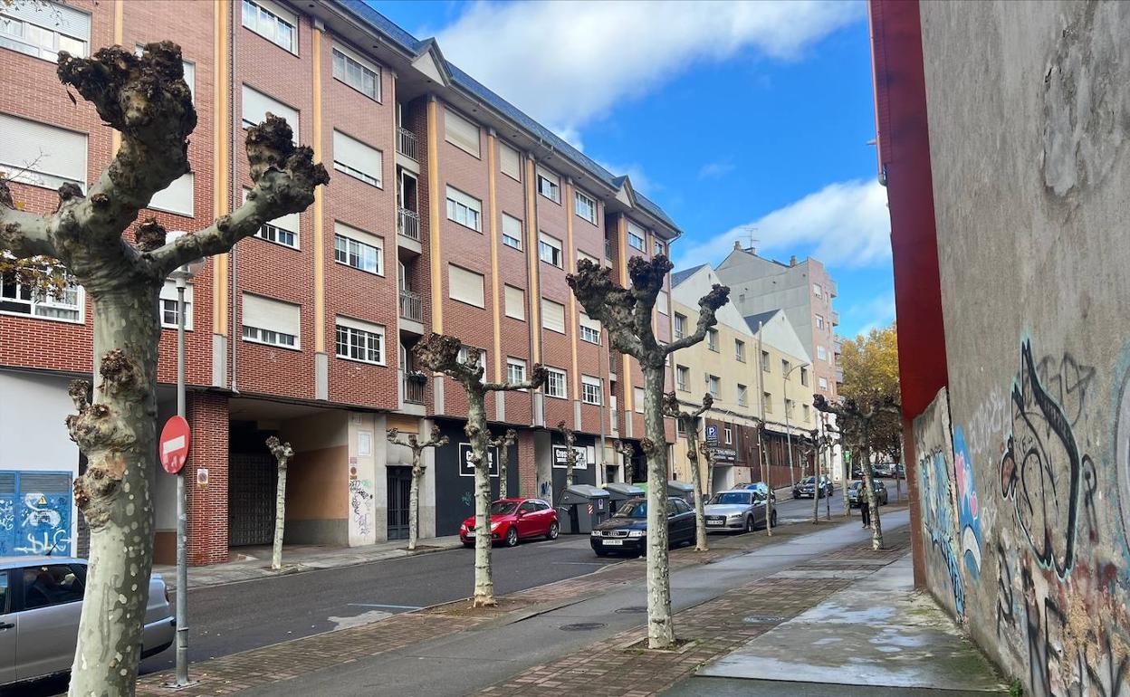 Árboles podados en la zona de Navaliegos.