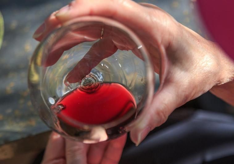 Asprona Bierzo reivindica el «potencial integrador» del mundo del vino con su primera cata inclusiva