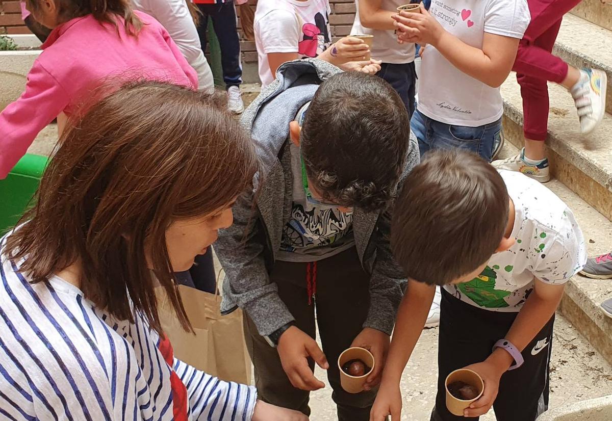El CRA de Cubillos del Sil cierra el curso con el premio de la séptima edición de Campelo Bosques