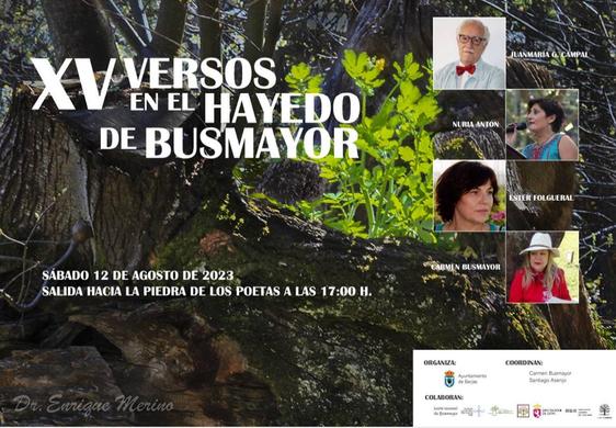 Cartel de la XV edición de 'Versos en el Hayedo de Busmayor'.