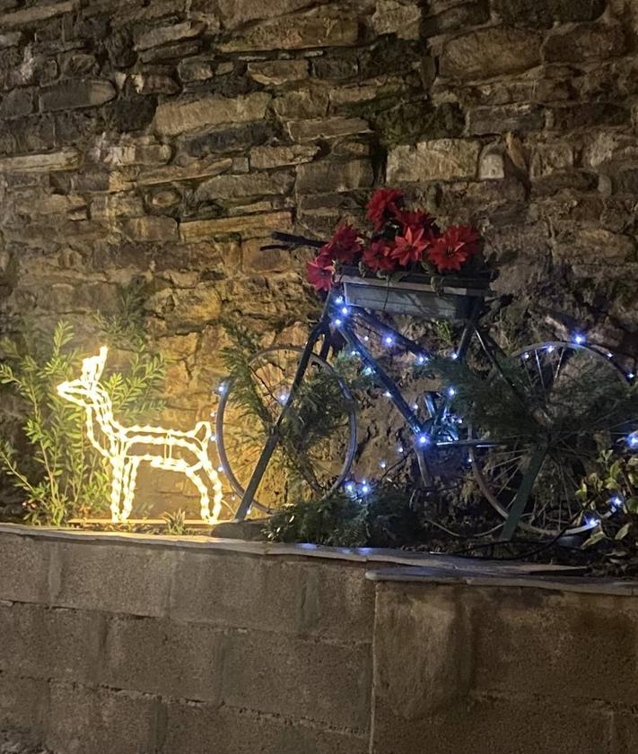 Imagen secundaria 2 - Lillo del Bierzo se ilumina con un árbol de cinco metros
