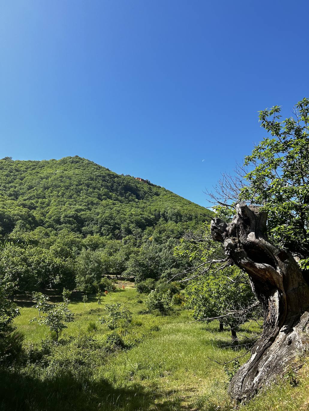 De ruta por Las Médulas