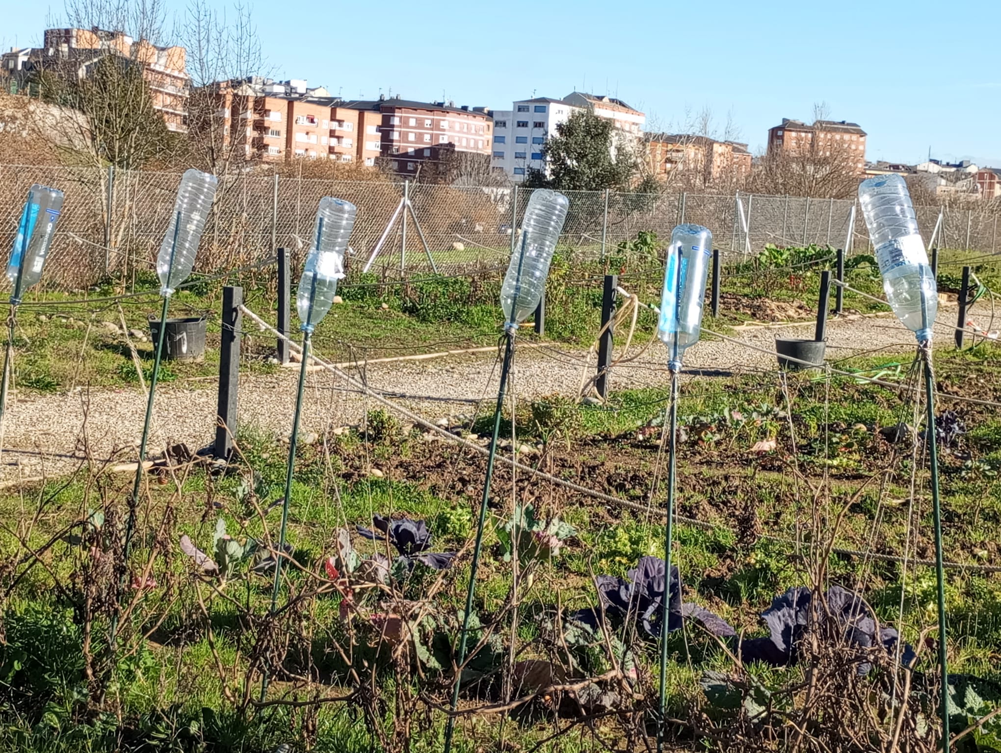 Un cachito de huerta en casa