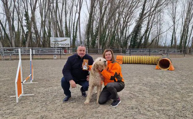 Camponaraya clausura con «gran éxito» la Feria de Perros de Caza