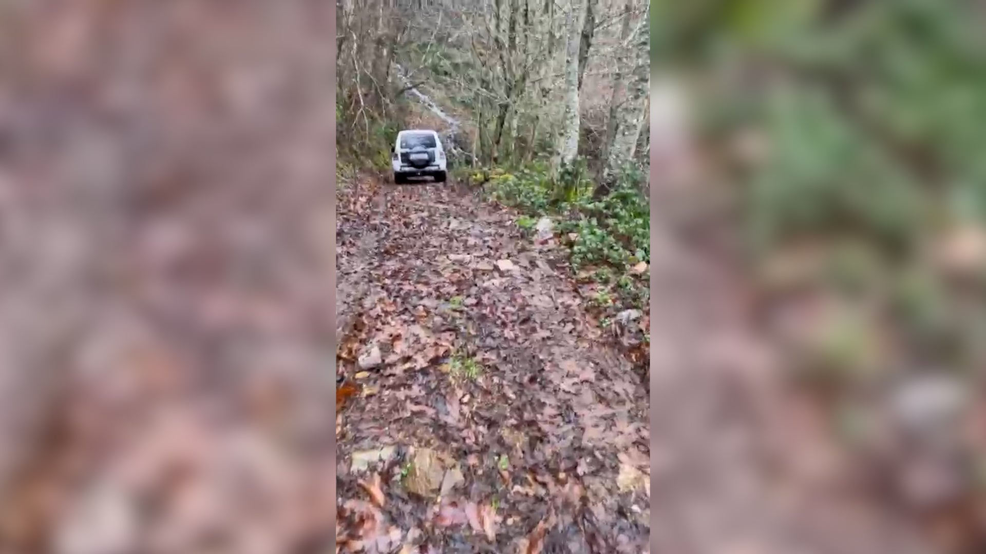 Un grupo de jóvenes se quedan atrapados en una ruta en El Bierzo