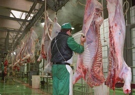 Imagen de un operario trabajando en un matadero.