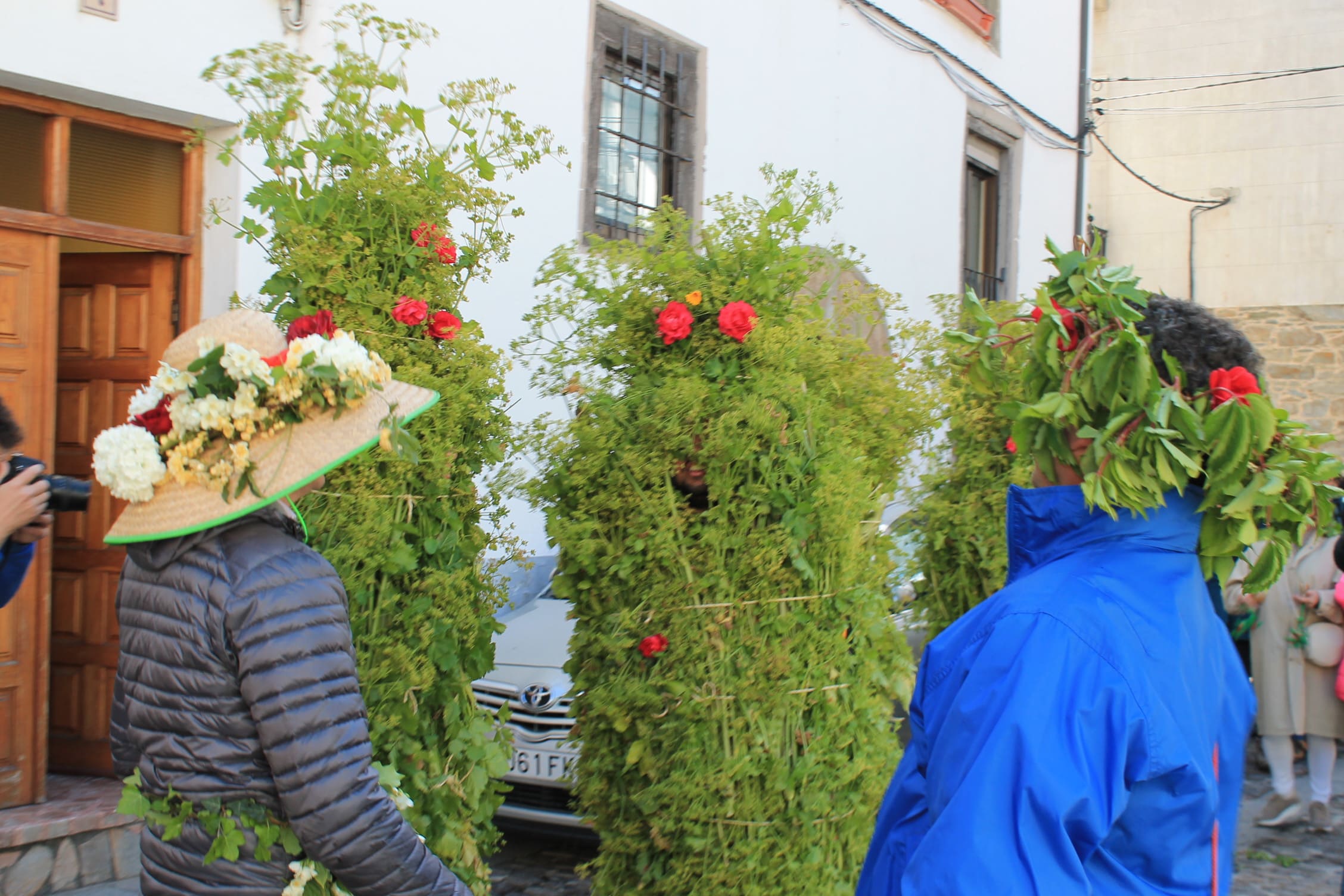 Los Maios tiñen de verde Villafranca