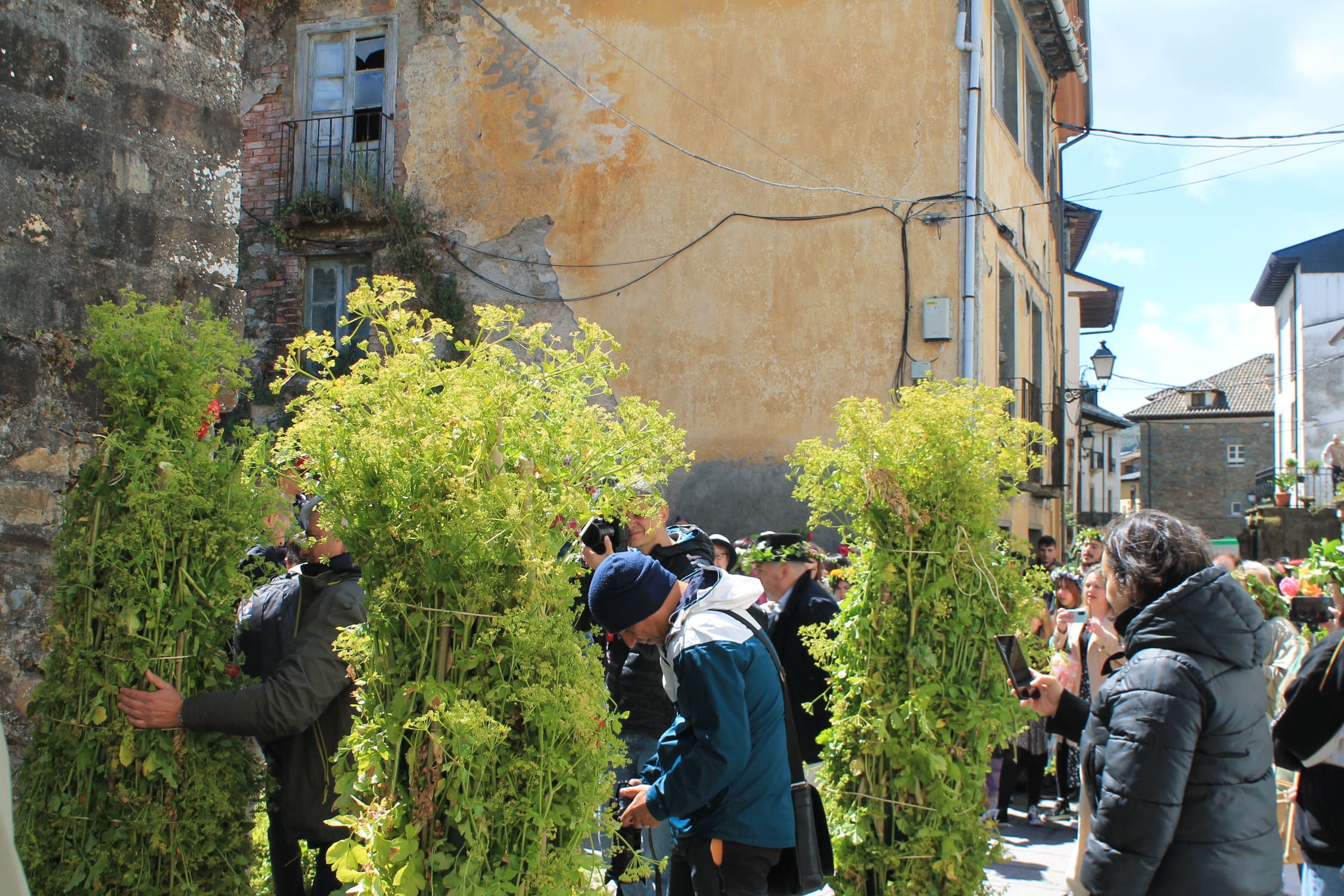 Los Maios tiñen de verde Villafranca