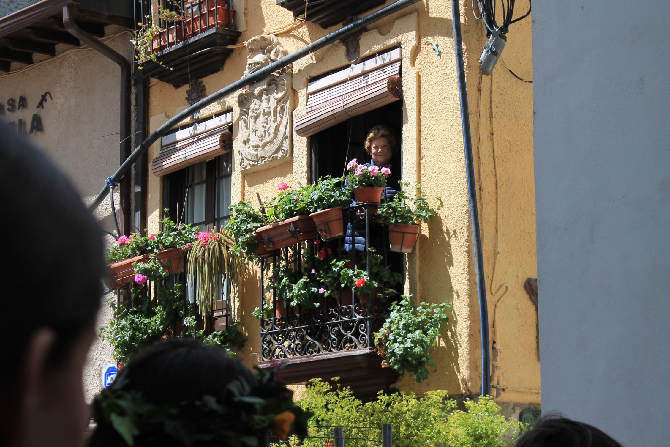 Los Maios tiñen de verde Villafranca
