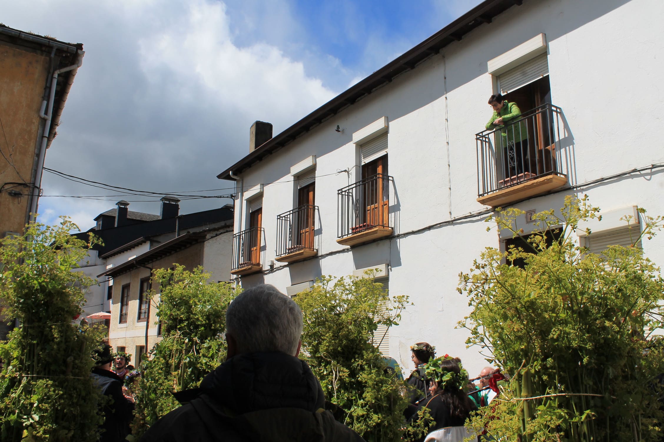 Los Maios tiñen de verde Villafranca