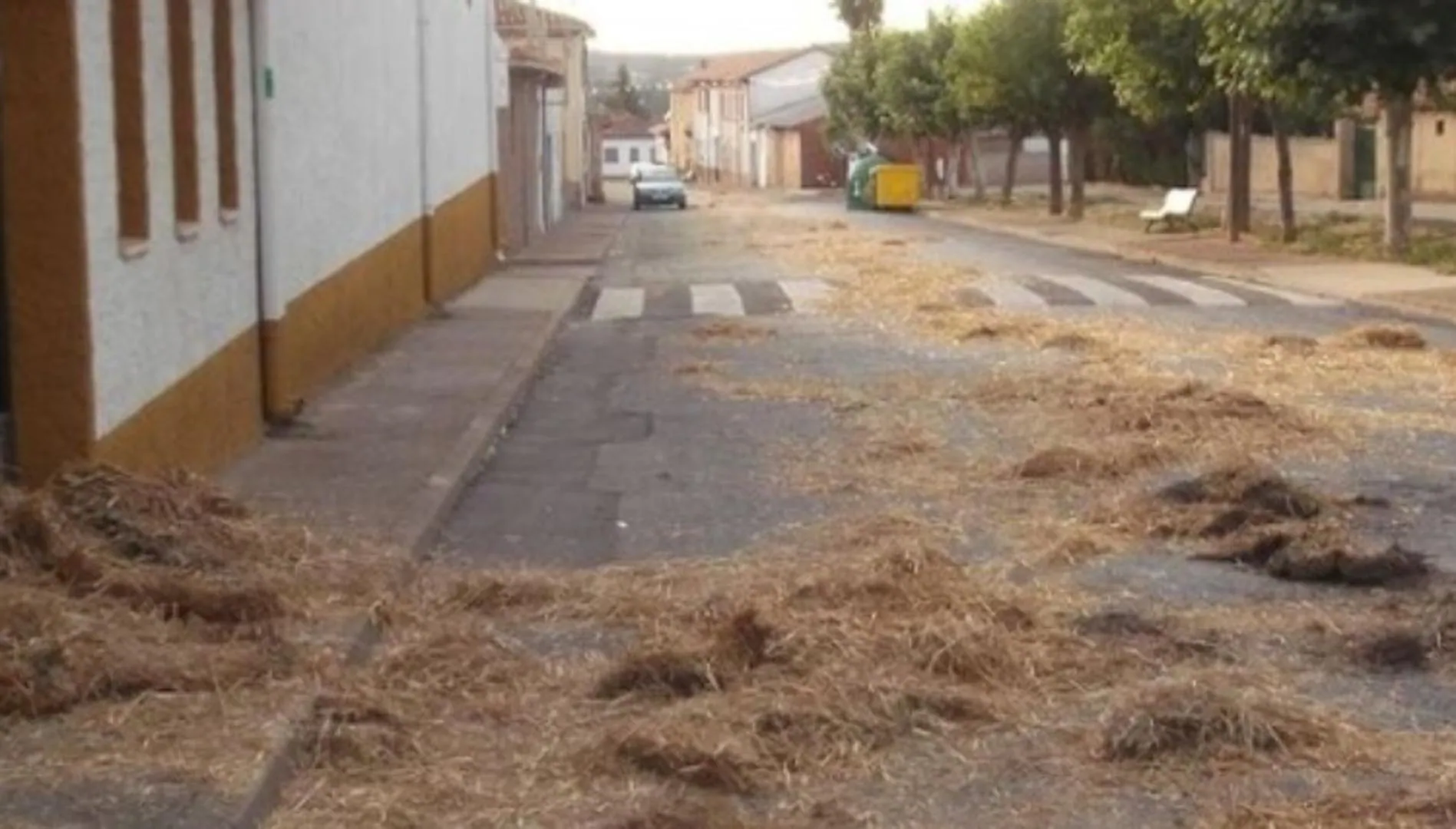 El rastro de paja en las bodas de los pueblos del Bierzo | El Bierzo  Noticias