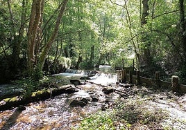 Paraje del Molino de Vegamolín.