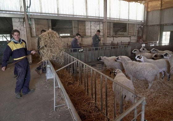 Explotación agraria.