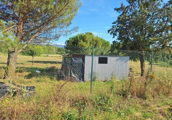 Establo de ovejas en la zona deportiva de la localidad de Magaz de Abajo.