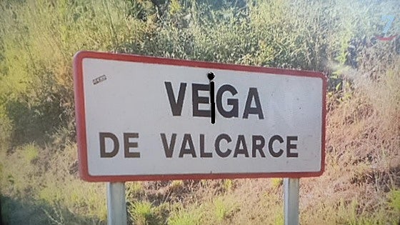 Un informe del Consejo de Europa pide mayor protección del gallego en el Bierzo