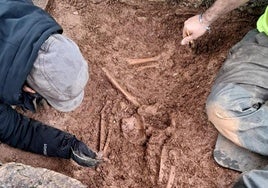 Localización de los restos en la Domus de Pedreira, en Lago de Carucedo.