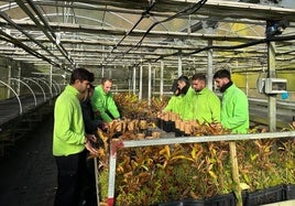 Alumnos participantes en una de las acciones formativas en Ciuden Vivero.