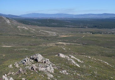 Investigadores de Ponferrada participan en un proyecto para desarrollar paisajes resistentes al fuego