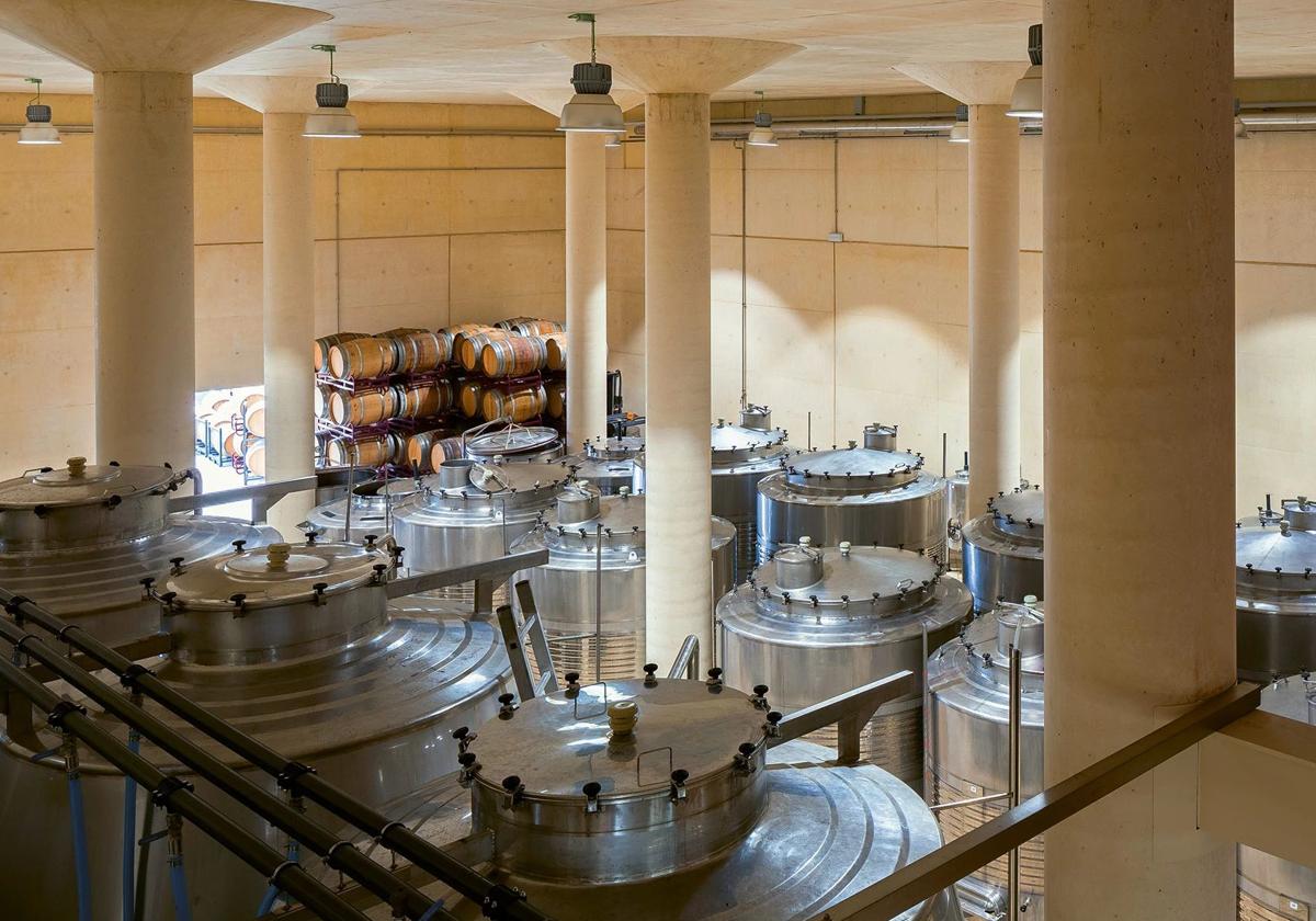 Un vino del Bierzo se cuela entre los 20 preferidos por Peñín