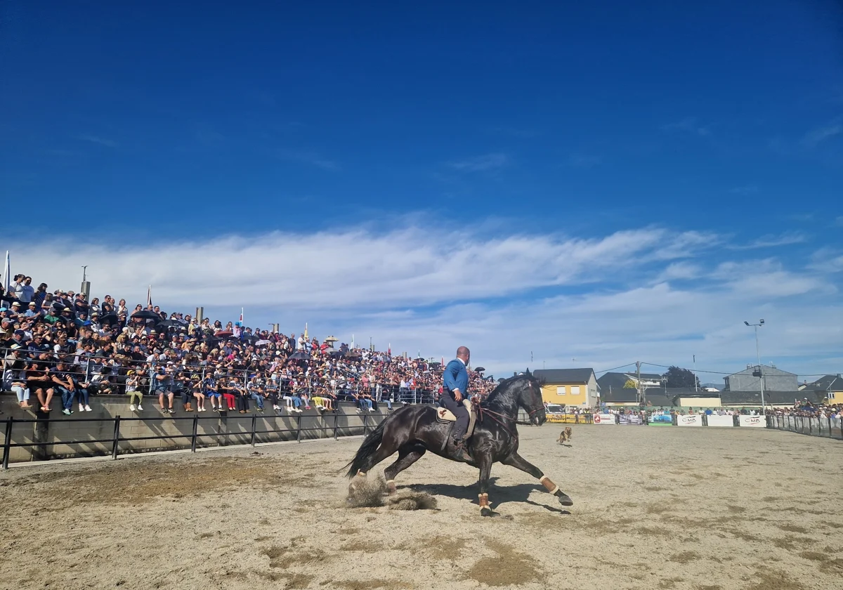 La Feria del Caballo regresa a Camponaraya