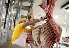 Labores de despiece de carne en un matadero.