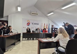 Imagen del pleno.