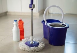 Imagen de productos y artículos de limpieza.
