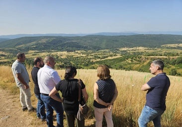 La Diputación avanza en la plantación de 40.000 castaños en el Bierzo