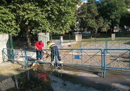 Imagen de las obras.
