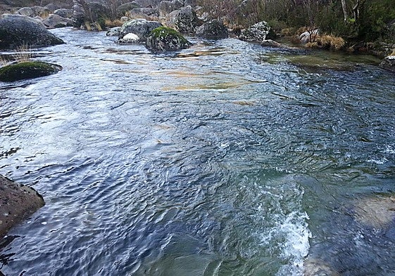 Imagen del arroyo de la Vega del Rey en Cacabelos.