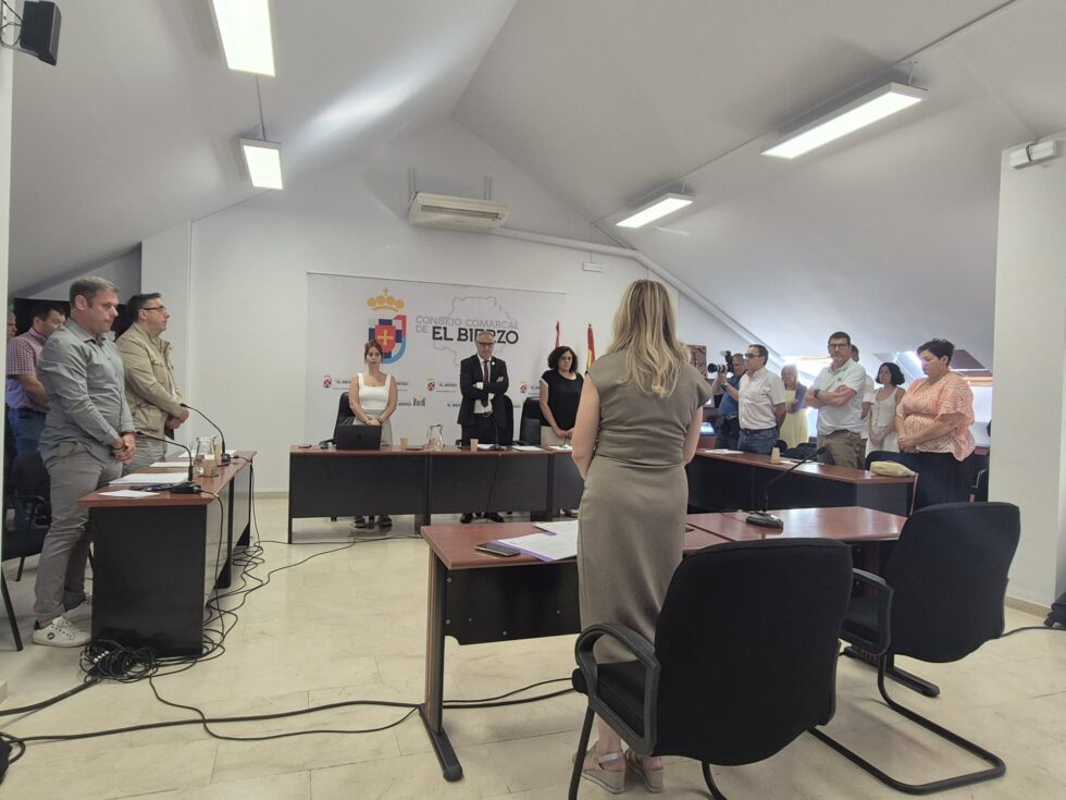 Imagen del pleno.